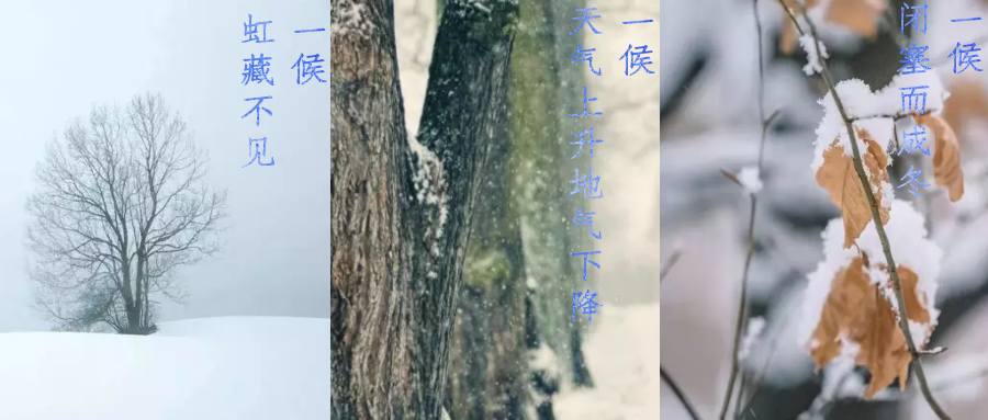 今日小雪，寒潮來襲，洗瓶機來幫你解放雙手吧！