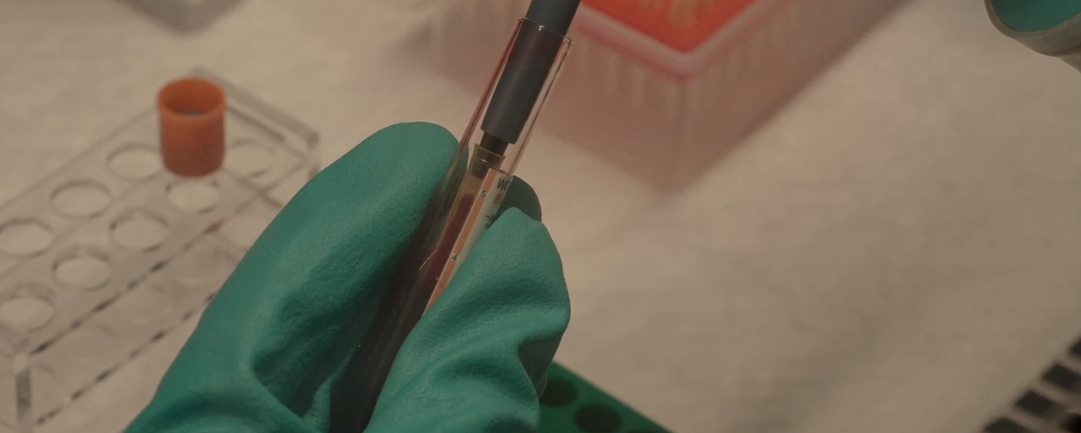 一起和喜瓶者洗瓶機(jī)看看什么是P4實驗室
